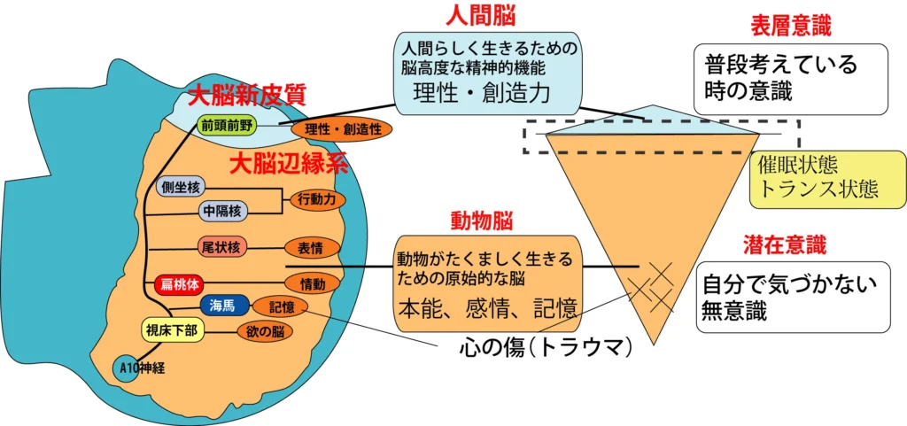 退行催眠と脳科学