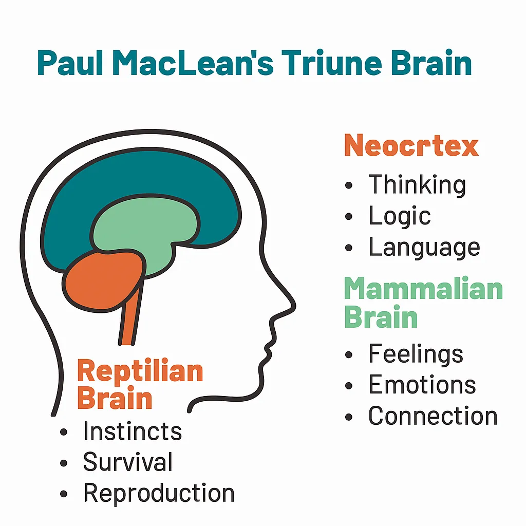 三位一体モデル