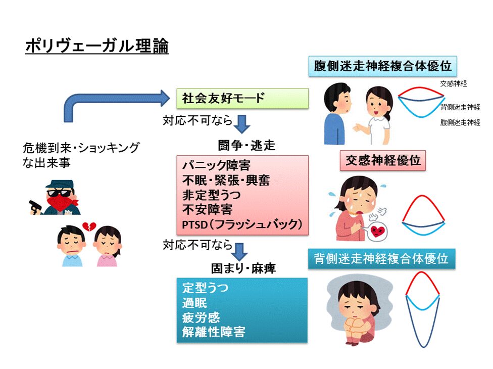ポリヴェーｶﾞﾙ理論説明図