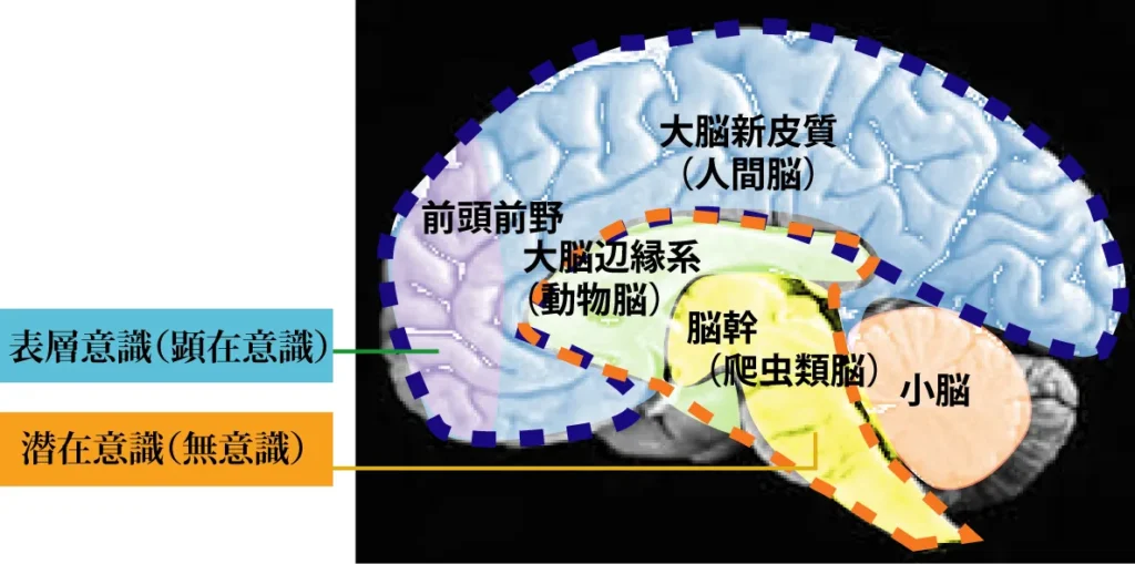 脳と意識との対応