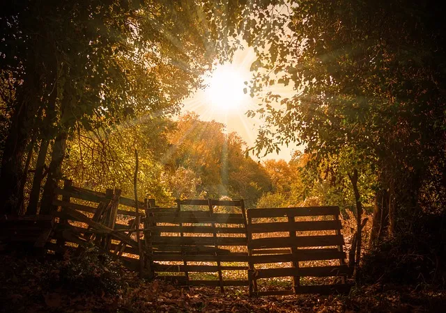 トラタカの残像