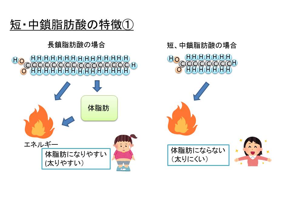 鎖脂肪酸の特徴