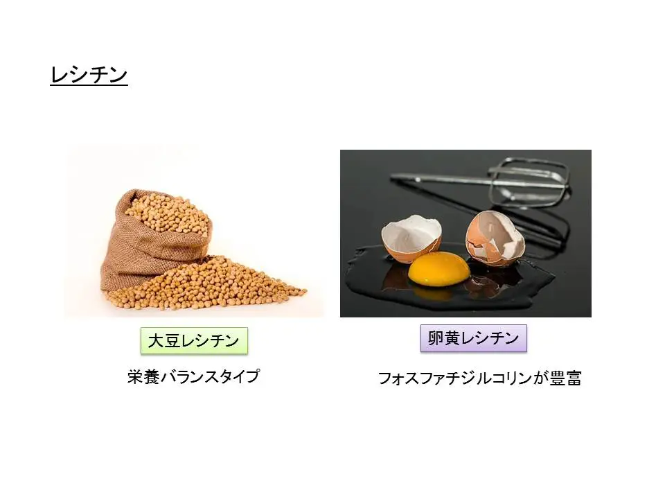 レシチン