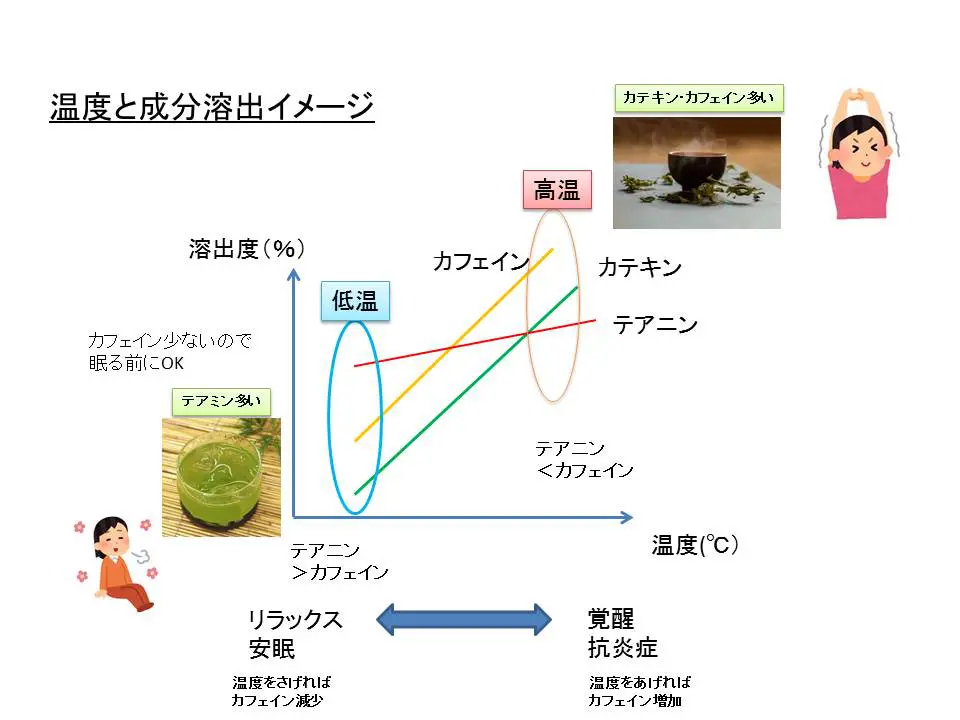 お茶の温度と成分