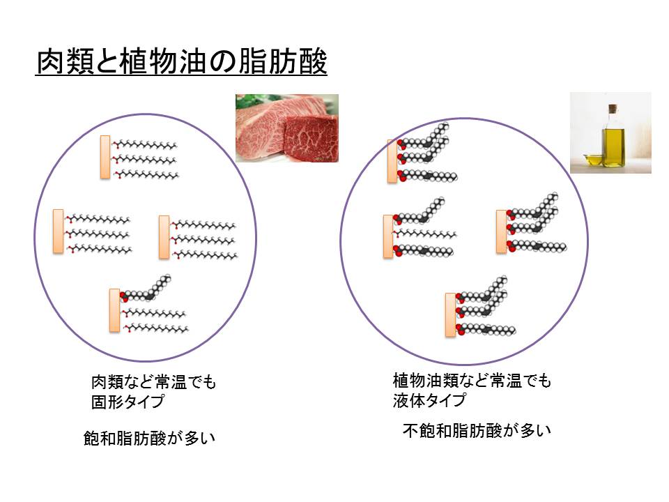 肉類と植物の脂肪酸