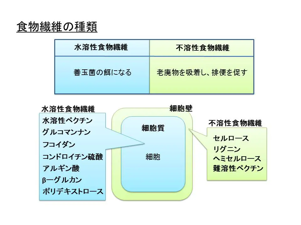 食物繊維の種類