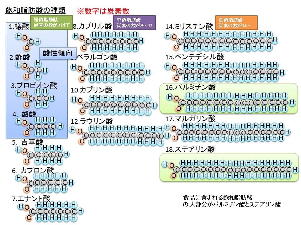 飽和脂肪酸の種類