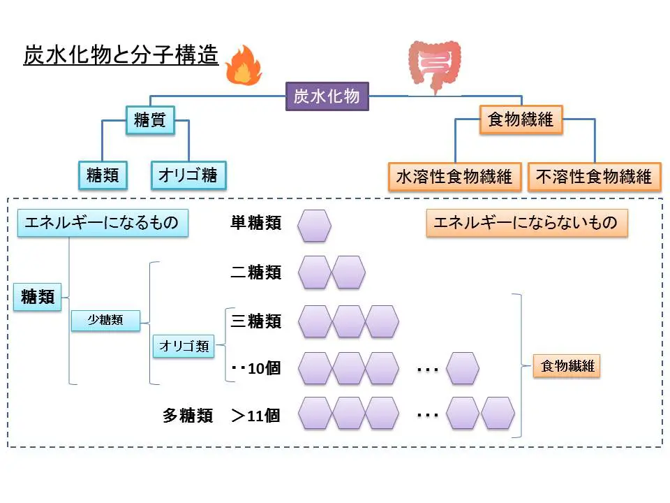 炭水化物と分子構造
