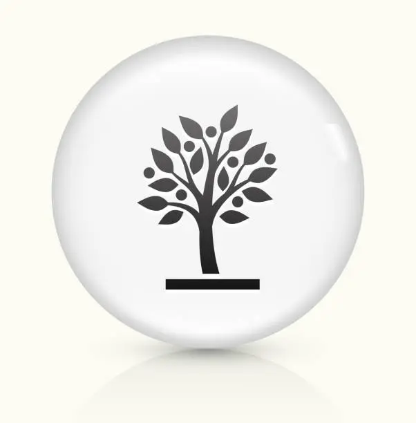 チェストツリー